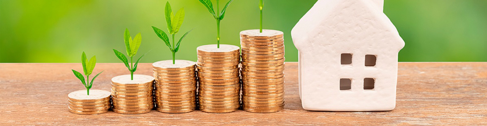 Importancia del Ahorro Mensual